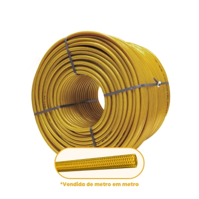 Mangueira Jardim (Metro) Trancada Ouro Pabovi 1/2